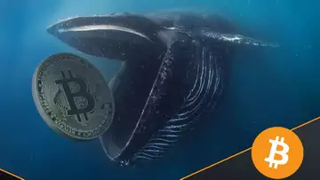 BITCOIN IS CRASHING HARD!! SELL NOW OR WAIT?!
