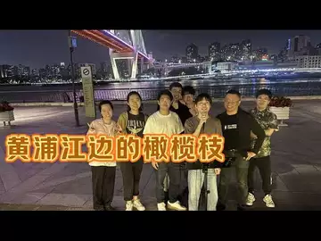黄浦江边的橄榄枝 词曲:Dr Robert Lee , AI 音乐作品, 编号: RLAM-O- 001