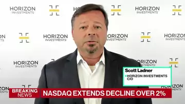 Earnings Estimates Not Important This Cycle: Horizon CIO