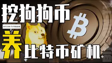 用数据来说挖矿真相,比特币挖矿到底赚不赚钱?狗狗币矿机如何反哺比特币矿机 20250201