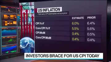What to Watch for in U.S. CPI Report