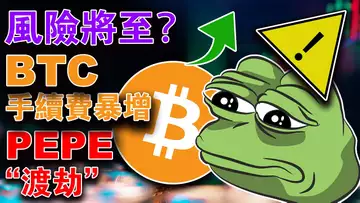 比特币现货交易下降;比特币链上手续费暴增;800万美元 PEPE 地址被拉黑; 牛市初显;美国政府是第三大BTC巨鲸