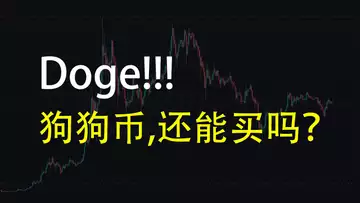 Doge狗狗币，还能买吗？我的策略，让你赚十倍！20210425，第二期。