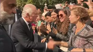 King Charles Greeted by Supporters in London