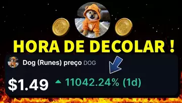 DOG GO TO THE MOON O MOVIMENTO QUE PODE MUDAR TUDO ACONTECEU...