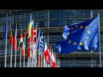 EU Renew's Cseh: Far-Right Selling Snake Oil