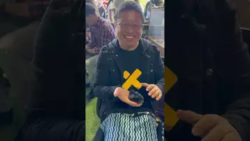 小鸡都被玩晕了。 Brisbane Ekka-0216