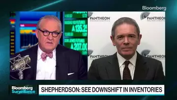 We'll probably skirt a recession, says Shepherdson