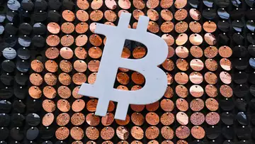 Bitcoin Holds Above $20,000 After Week of Crypto Rout