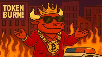 HUGE BURN FOR $BTCBULL!! BITCOIN NEW ALL TIME HIGH COMINS SOON!!
