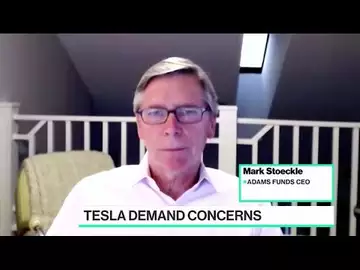 Stoeckle: Tesla Is a Good Company, Not a Good Stock