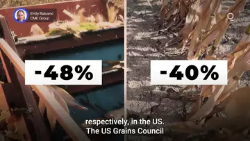 US Corn Farmers Build Sustainable Future | Presented by CME Group