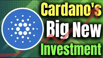 Cardano Big NEW Investment In Ultra Small Projects!
