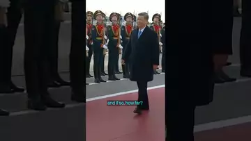 Navarro says the US just wants to level the playing field with Xi and the world