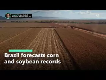 Brazil Forecasts Record Corn and Soybean Harvest