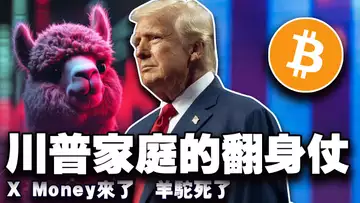 比特币“牛”刚来;USD1 概念币哪个更牛?Alpaca Finance 退场; X Money 来了;泰国加密绑定信用卡 20250528