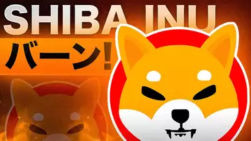 SHIBA INUがこのタイミングで大量のバーンを実施中！何が起こった？？