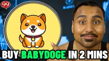 How to Buy BABYDOGE in 2 Minutes!
