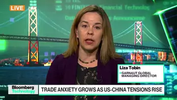 ‘Glass Is Broken’ on Rare Earth Trade: Garnault’s Tobin