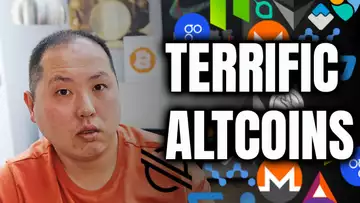 TERRIFIC ALTCOINS WITH HUGE POTENTIAL