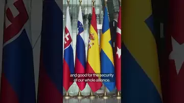 #Sweden becomes part of #nato #russia #ukraine #politics #shorts