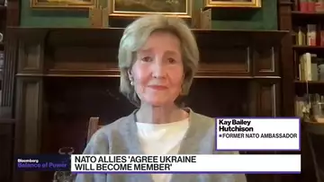 What Ukraine is Asking for is Reasonable Says Hutchison