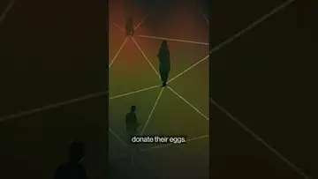 The Human Egg Trade