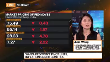 Expect Fed to Pivot in Fourth Quarter of 2023: Wang