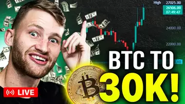WILL BTC TAG 30K? These ALTCOINS Will Rally The Hardest!