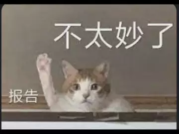 操盘日志:行情妙,两种策略保住胜利果实!20230509