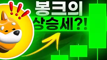 $BONK 코인의 상승?! 과연 어디까지?!