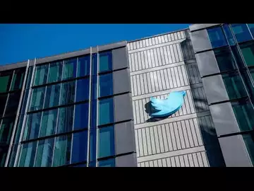 Musk's Twitter Sells Bird Statue for $100,000 in Auction