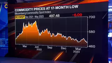 Likely to See Commodity Prices Weaken This Year: Chowdhury