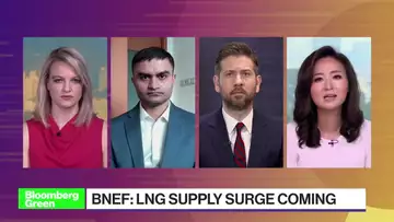Green: LNG Market Outlook & Russia's shadow fleet