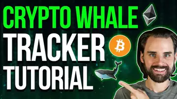 Code a Crypto Whale Tracker Step-by-Step with Ethers.js