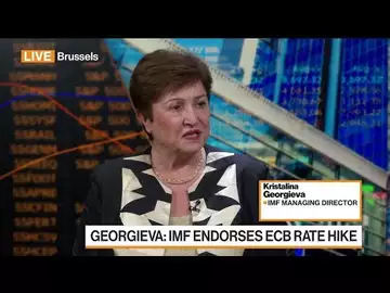 IMF 'Whole Heartedly' Endorses Further ECB Hikes