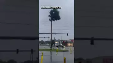 #Hurricane #Idalia hits Florida #shorts