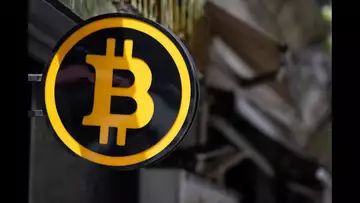 Crypto Report: Bitcoin Falls, Altcoins Extend Losses