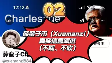 02、薛蛮子币(xuemanzi)真实信息跟进(不踩、不吹)