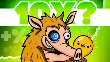 🚀 ¡$SNORTER: La NUEVA Meme Coin de SOLANA Que Podría Explotar!