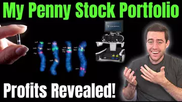Every Penny Stock I've Been Buying! Penny Stock Portfolio Revealed!