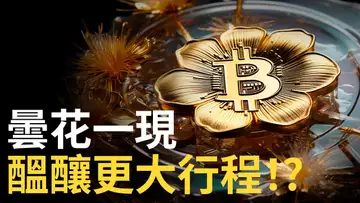 比特幣曇花一現,BTC醞釀更大行程!? 比特幣慣性連跌︱美股、黃金機會