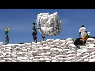 Why Rice Prices Are Soaring in Asia