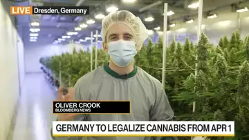 Cannabis: Germany to Partially Legalize Use From April 1