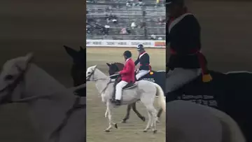 冠军诞生了-Brisbane Ekka