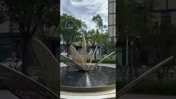 临港见闻-02