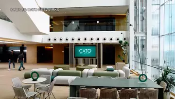 Cato Networks to Buy AI Security Startup