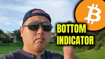 ANOTHER MAJOR BITCOIN BOTTOM INDICATOR