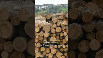 Why the US and Canada are fighting over lumber again #trump #shorts