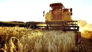 Europe's Heat Wave Is Coming For Your Food